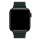 Apple Watch Fan Loop Yeşil Apple Watch Fan Loop Yeşil