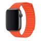 Apple Watch Fan Loop Turuncu Apple Watch Fan Loop Turuncu